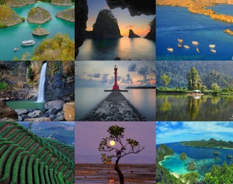 Meledaknya Jasa Kirim Mobil pada Pariwisata kian ramai