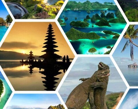 Pengiriman mobil ke kota wisata menjadi fenomena tren dan prediksi pasar